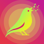 Cover Image of Descargar Sonidos de pájaros tonos de llamada  APK