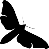 The Moth Podcast Listener icon