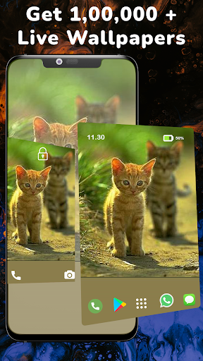 Cute Kitten Wallpapers HD Screen 2