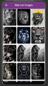 Lion Images 4k & Wallpaper HD
