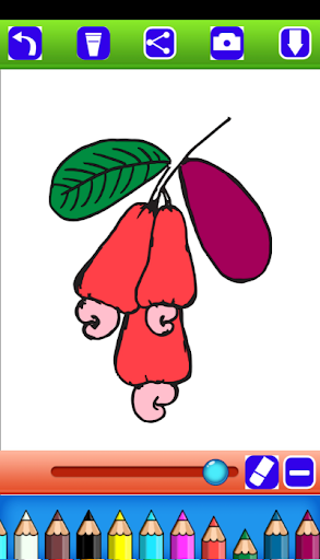 Fruit Coloring Books