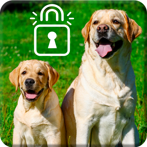 Labrador Puppy Cute Dog Retrie Download on Windows