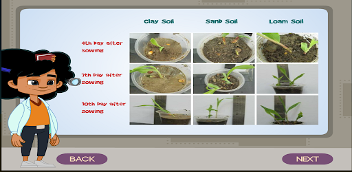 The Scientific Method Screen 3