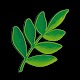 Eco Report Card Download on Windows