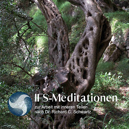 Obraz ikony: IFS-Meditationen zur Arbeit mit inneren Teilen nach Dr. Richard C. Schwartz