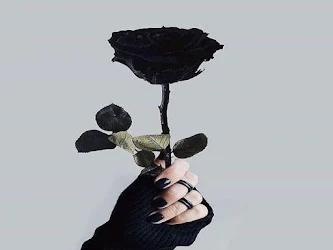 Black Rose Wallpaper 15 1 Apk Android Apps