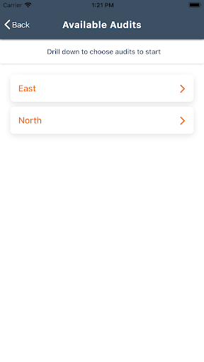 Audits Screen 3