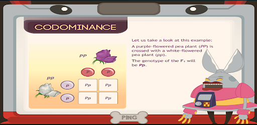 Codominance (Multiple Alleles) Screen 3