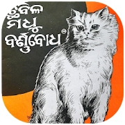 Odia Barnabodha - Easy To Learn Odia