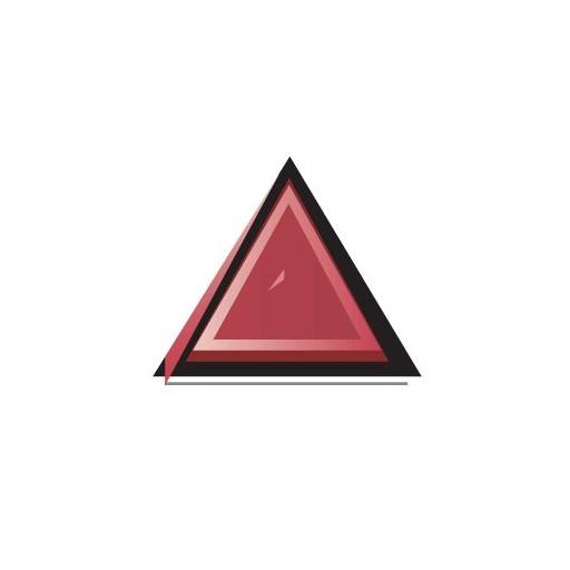 Advanced Mobile logo