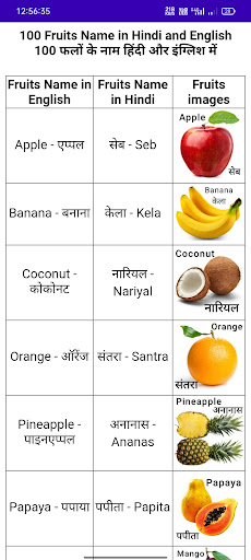 Hindi Read Duniya - Dictionary Screen 2