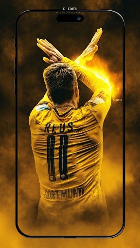 BVB - 09 Wallpaper HD 2K 4K Screen 2