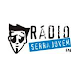 Download Rádio Serra Jovem FM For PC Windows and Mac 1.0