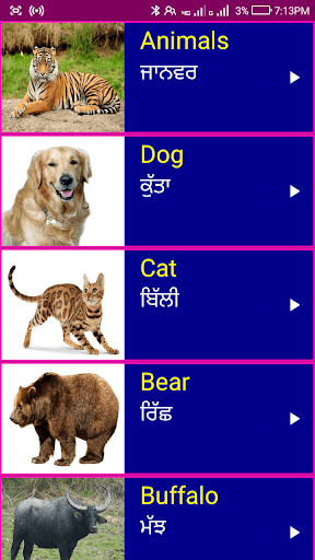 Android application Learn English From Punjabi screenshort