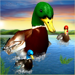 Cover Image of Скачать Virtual Duck Family Game 3D  APK