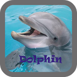 Dolphin wallpaper icon