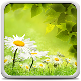 Spring Meadow Live Wallpaper icon