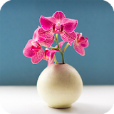 Orchid Pack 2 Live Wallpaper icon
