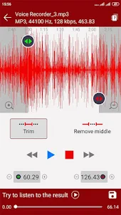 voice recorder - pro recorder