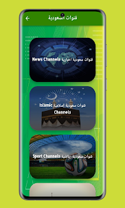 Saudi TV-Saudi Channels