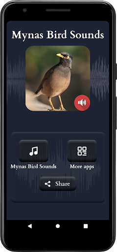Mynas Bird Sounds Screen 2