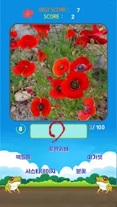 꽃길 Korean Flower Name Game