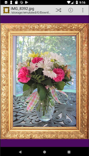 Framed Image Viewer Exercise Screen 2