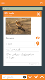 300 Swedish Birds