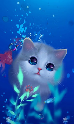 Cute Cat Wallpaper HD