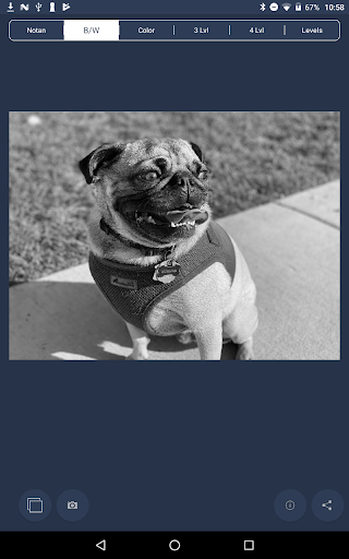 NotanIzer screenshot 7