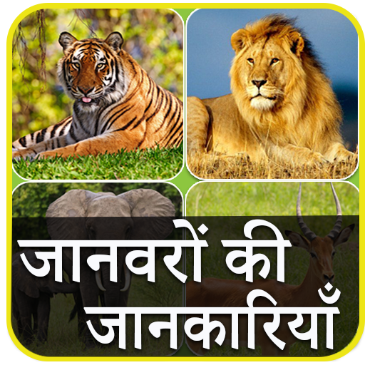 Animal Information in Hindi 1.1 Icon