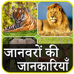 Icon image Animal Information in Hindi
