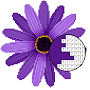 Flowers Pixel Art Coloring