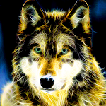 Cover Image of ดาวน์โหลด หมาป่านีออน วอลล์เปเปอร์สด  APK
