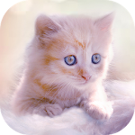 Cover Image of ダウンロード Cute Kitten Live Wallpapers 1.6 APK