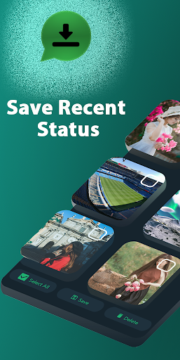 status saver & downloader Screen 2
