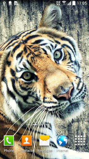 Tiger Live Wallpaper Screen 2