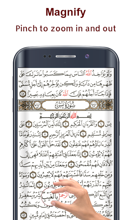 Koran Read 30 Juz Offline - 1.5.6 - (Android)