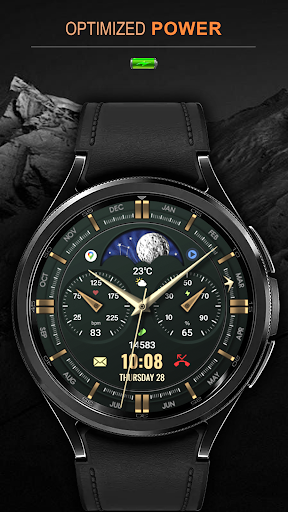 WFP 309 Elegant watch face screenshot 5