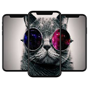 Top 39 Entertainment Apps Like Curious Cat Wallpaper HD - Best Alternatives
