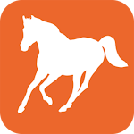 Cover Image of Télécharger ANFOAL  APK
