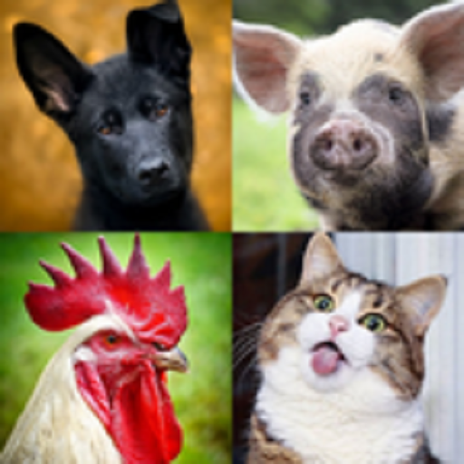 Learning animals for toddlers logo