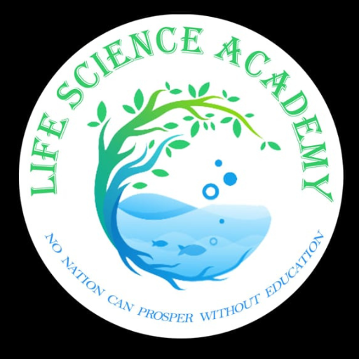 LSAB logo