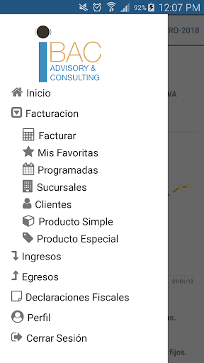 Ibac Advisory & Consulting Screen 2