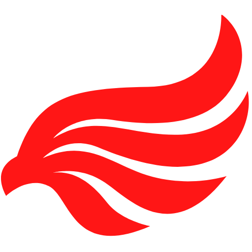 Transportes Dan-Nush logo