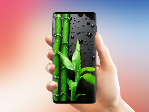 Android application Wallpaper for Galaxy S10 screenshort