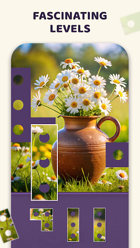 Puzzle Pix ekran görüntüsü