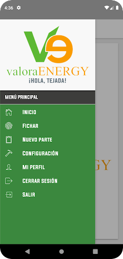 Control Valora Energy Screen 2