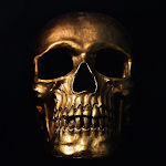 Cover Image of Tải xuống Skull Images : Skull Photos  APK