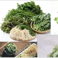 식재료 이름 맞추기 퀴즈